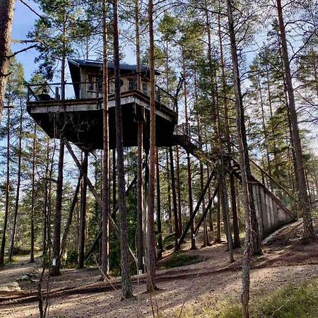 Tretopphytter Pa Grensen - Elghytta Med Robat Og Gjeddefiske Χάλντεν Εξωτερικό φωτογραφία
