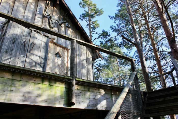 Tretopphytter Pa Grensen - Elghytta Med Robat Og Gjeddefiske Χάλντεν Εξωτερικό φωτογραφία